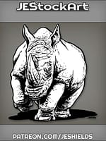 Adult Rhinoceros With Double Horns And Wrinkles Walking by Jeshields