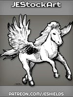 Pegasus With Outstretched Wings And Fluffy Mane by Jeshields