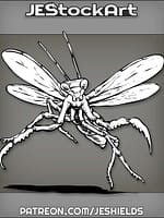 Praying Mantis In Flight With Antennae Up by Jeshields