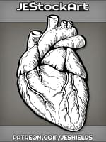 OrganicHeartDissectedFromBody by Jeshields