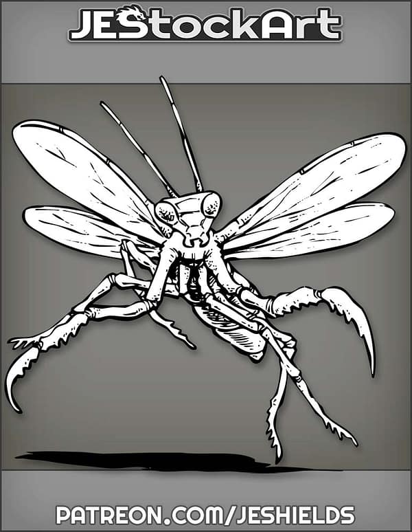 Praying Mantis In Flight With Antennae Up by Jeshields