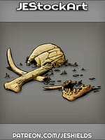 Pile Of Shattered Skull And Bones by Jeshields